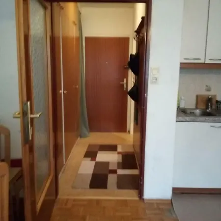 кleine Gemutliche Im Zentrum Von Appartement Salzburg